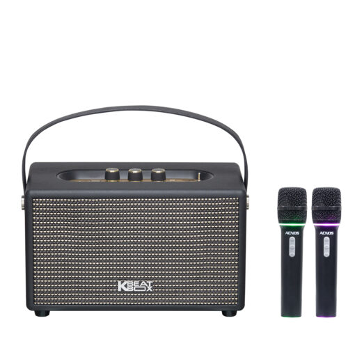 Loa karaoke x&aacute;ch tay mini - Acnos S60 k&egrave;m 2 micro